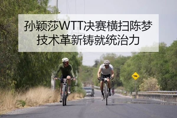 孙颖莎WTT决赛横扫陈梦 技术革新铸就统治力